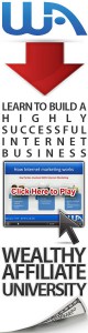 wa_successful_business_160x600